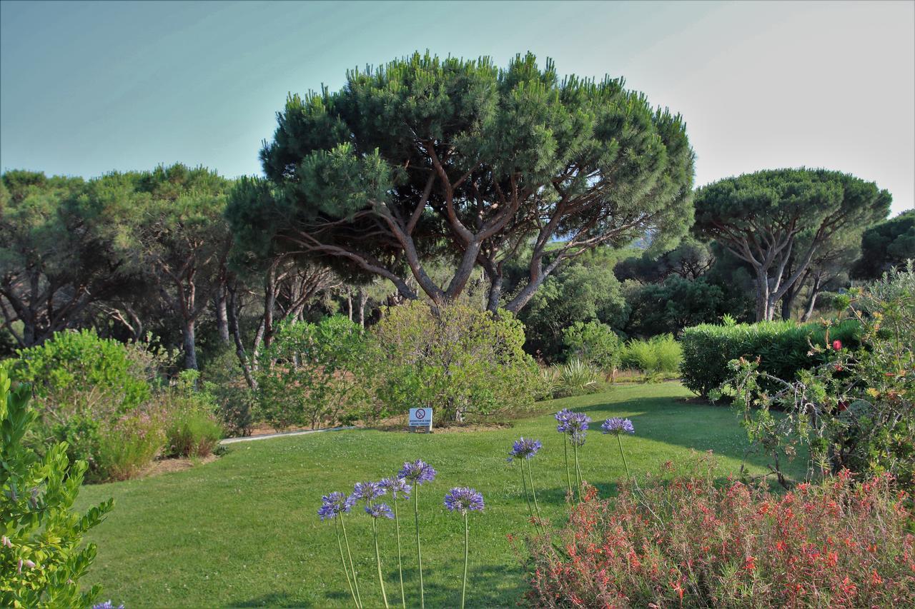 Appartement Les Pins Bleus A8 Sainte-Maxime Bagian luar foto